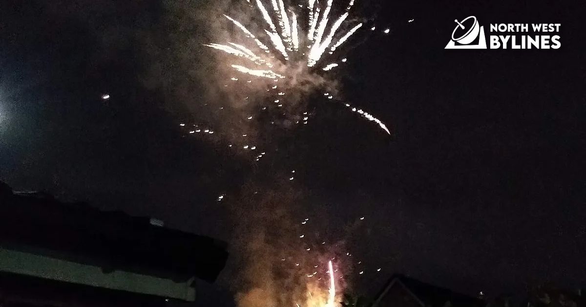 Disappoting Firework UK government gives disappointing response to fireworks petition