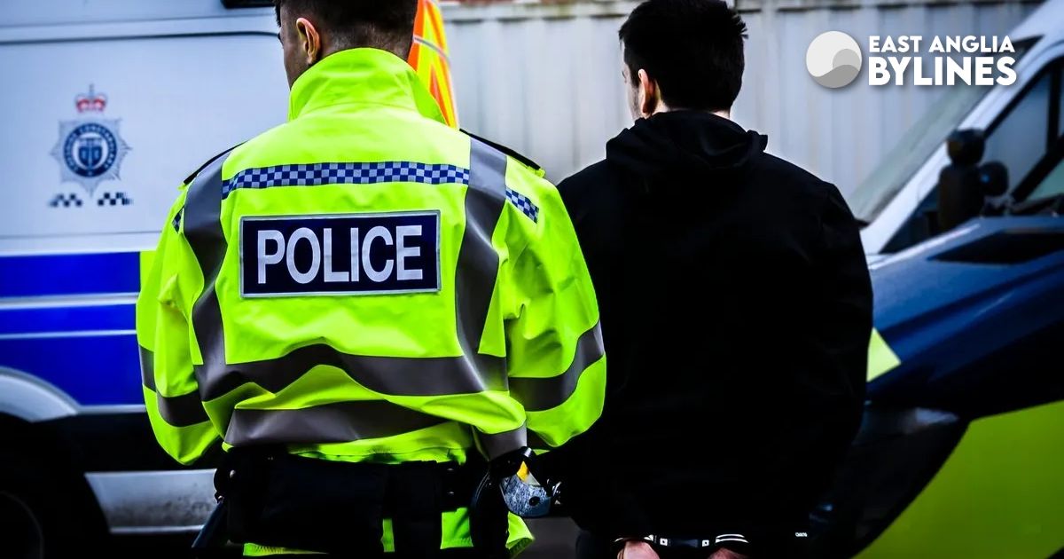 Police crisis: funding woes, rising cuts and public distrust