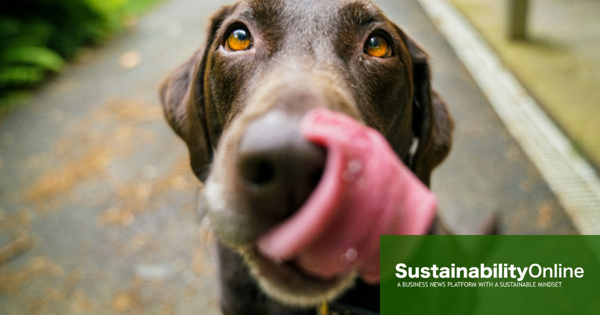Shocking Truth: Over 50% of Dog Owners Discard Pet Food Daily – What You Can Do to Reduce Waste! Shocking Truth: Over 50% of Dog Owners Discard Pet Food Daily – What You Can Do to Reduce Waste!