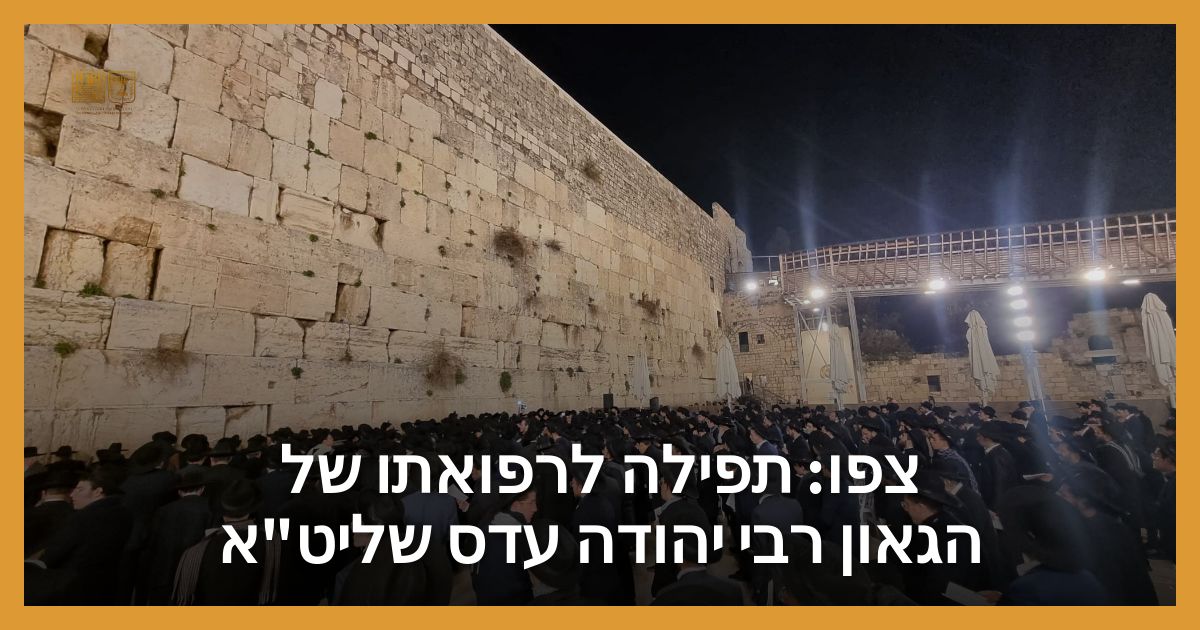 thekotel.org